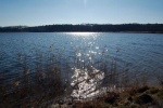 Mchovo jezero